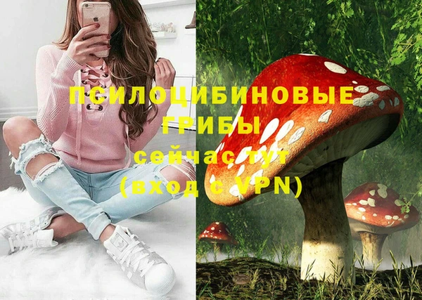 гидра Абинск