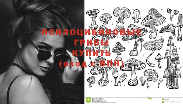 гидра Абинск