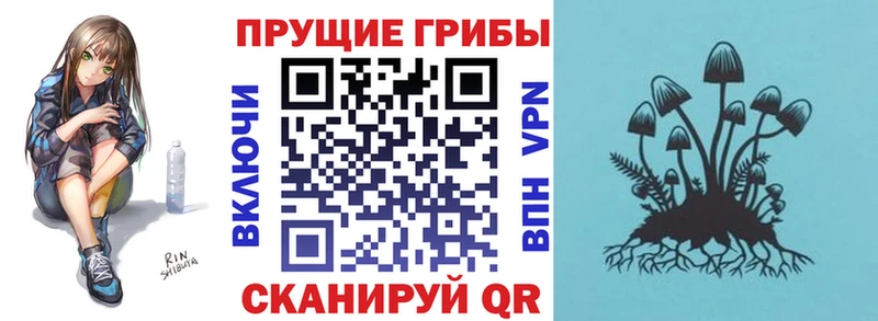 наркотики  Никольское  Псилоцибиновые грибы Psilocybe 